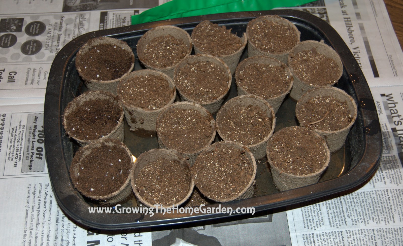 Growing Shallots from Seed (Seed Sowing Saturday!) Growing The Home