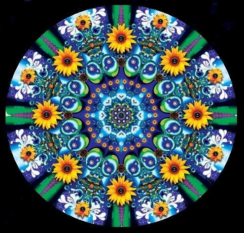 [MANDALA.JPG]