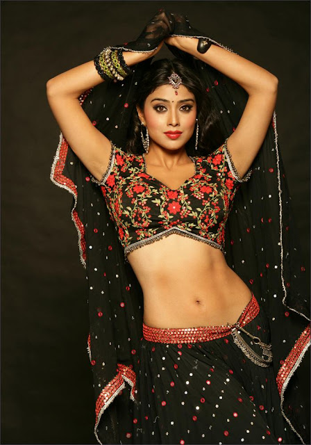 Gorgeous actress Shriya Saran Beautiful Photo Shoot