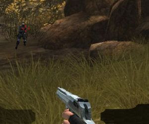 games index flash