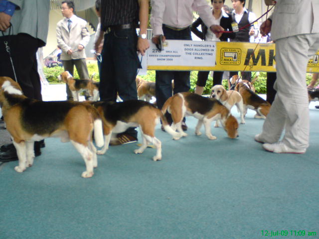 [DSC00942.JPG]