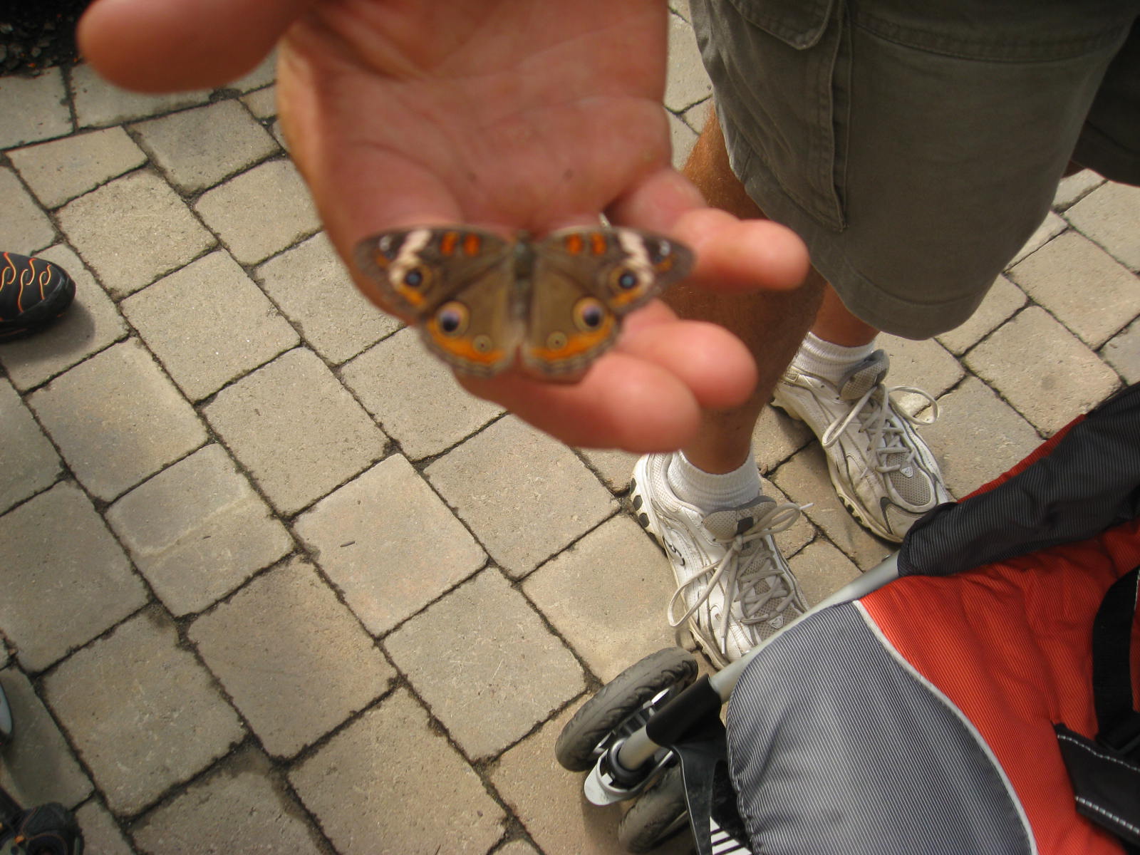 [7-30-08+029.JPG]