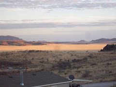 desert beauty