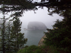 Oregon Coast