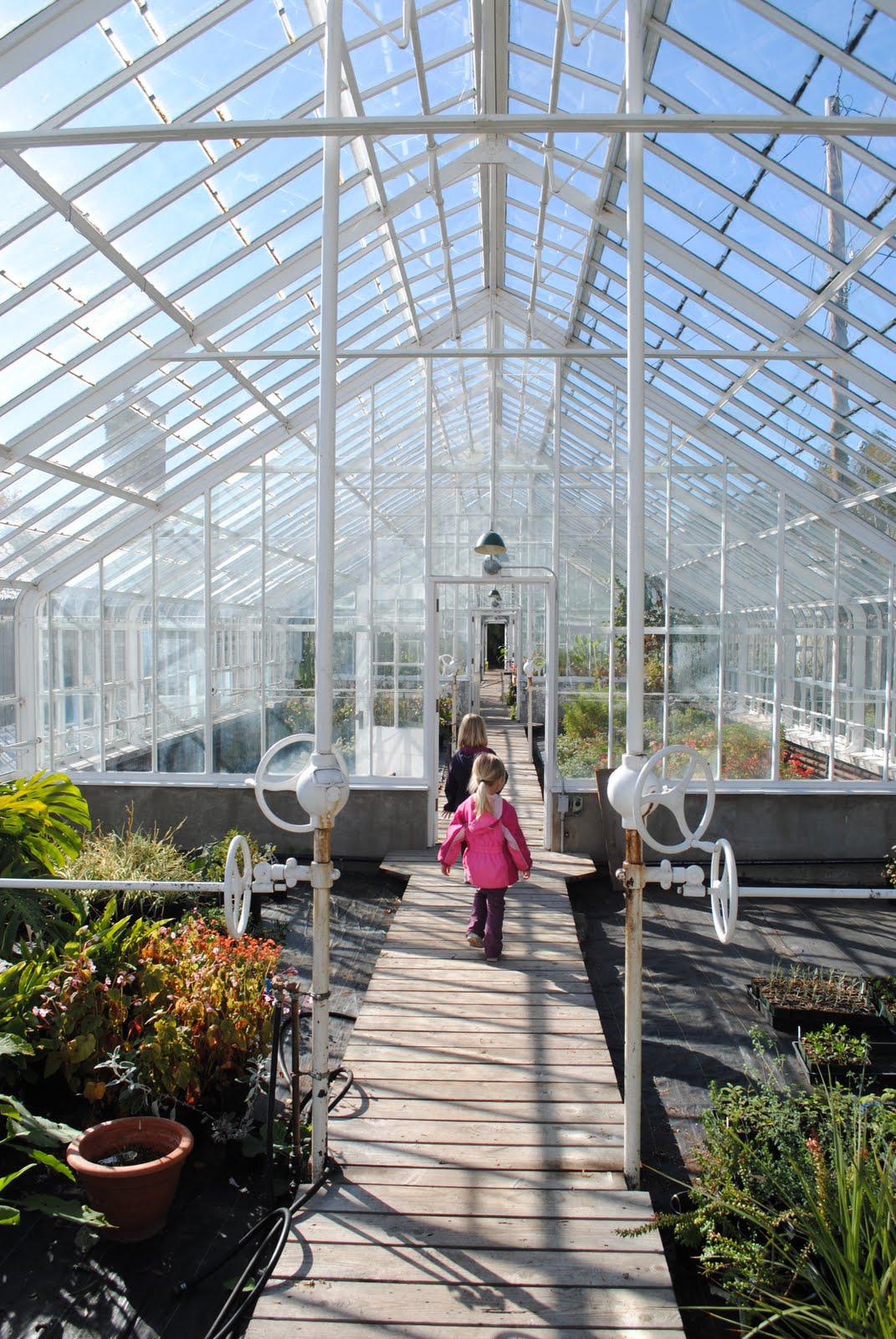 "What's happening at the Hunts?" Victoria, BC