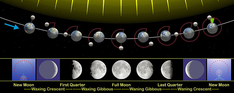8 moon phases in order. 8 moon phases in order. All Moon Phases In Order; All Moon Phases In Order