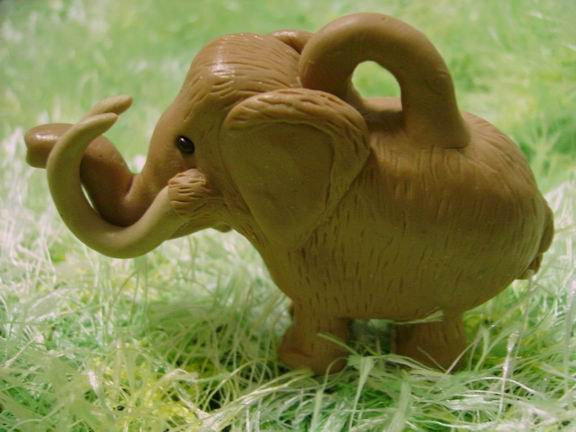 [Resize+of+890b.JPG]