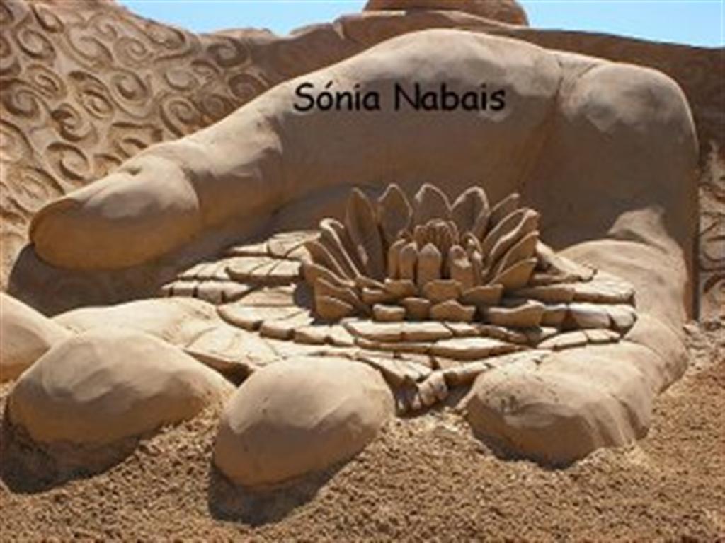 [Sónia+Nabais.JPG]