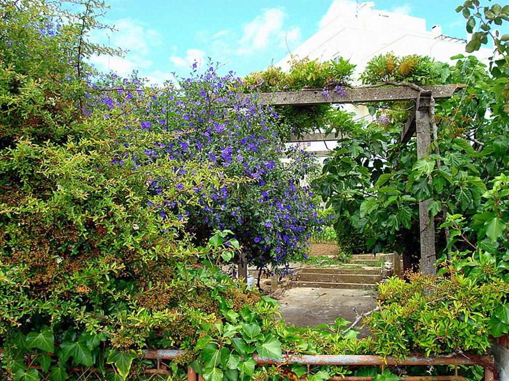 [DSC01521+(Large).JPG]