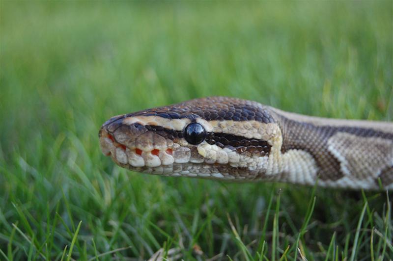 [DSC_0324+(Medium).JPG]