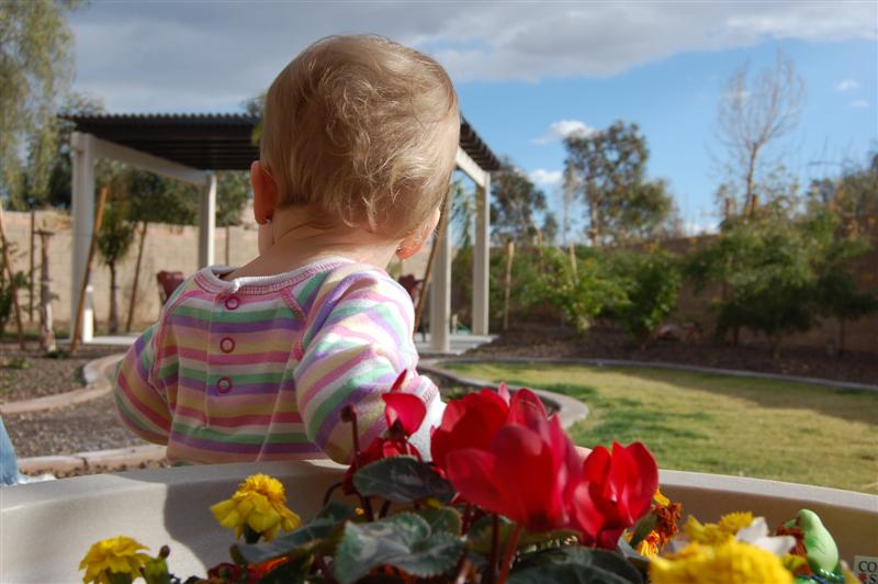 [DSC_2434+(Medium).JPG]