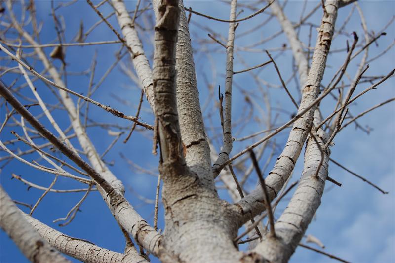 [DSC_3152+(Medium).JPG]