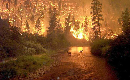 [incendio.jpg]