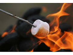 mmmm s'mores!