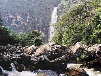 **  Nascentes do  São Chico  **