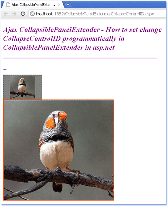 Collapsible+panel+asp.net
