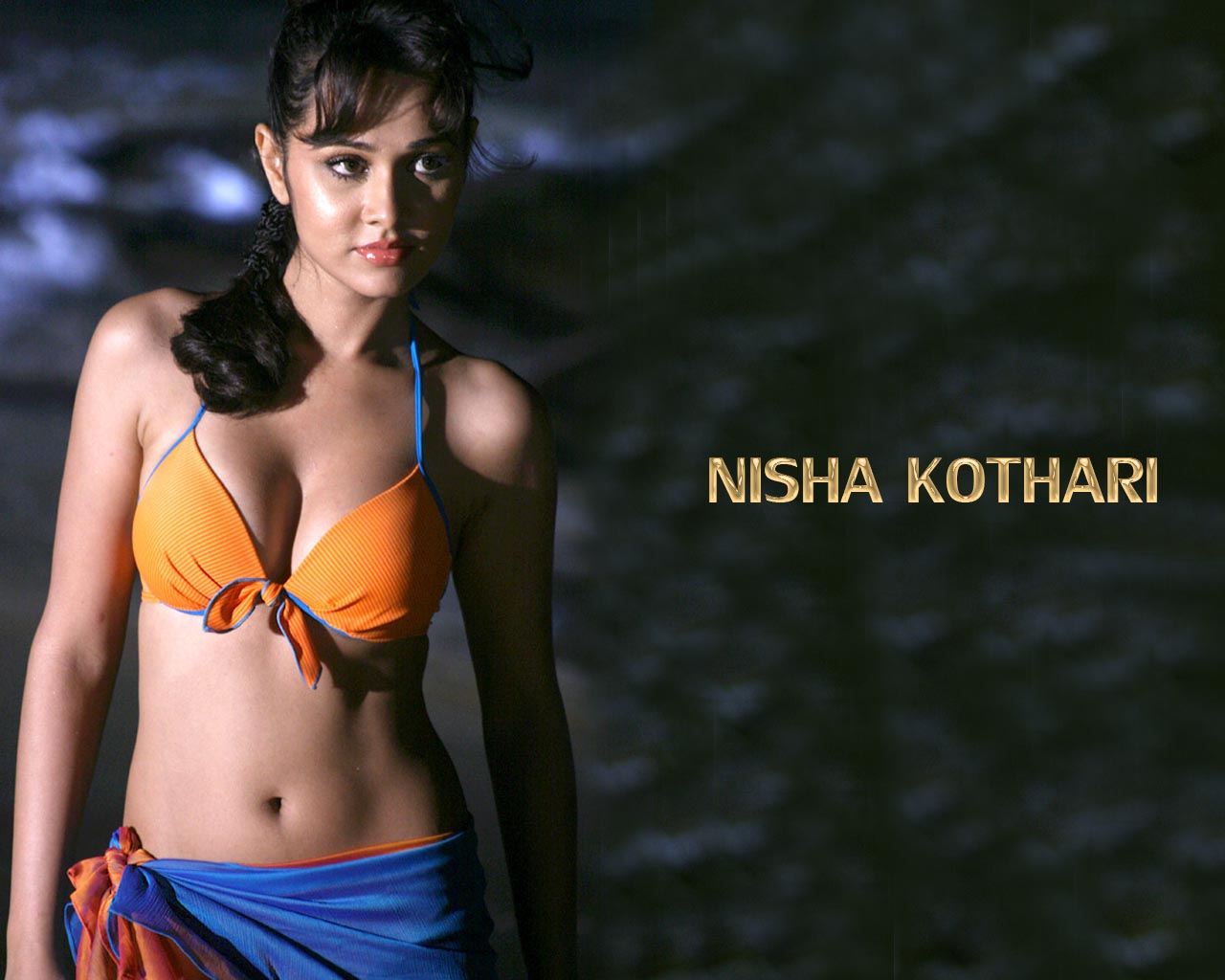 http://2.bp.blogspot.com/_P3pzc8HiI2k/TTfo_lHWQUI/AAAAAAAACO0/AQfF9qSD07A/s1600/Nisha+Kothari-92.jpg