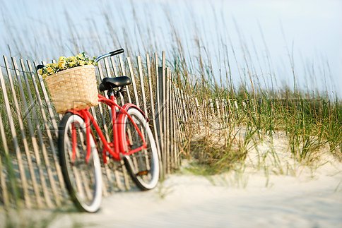 [vintage-redbike.jpg]