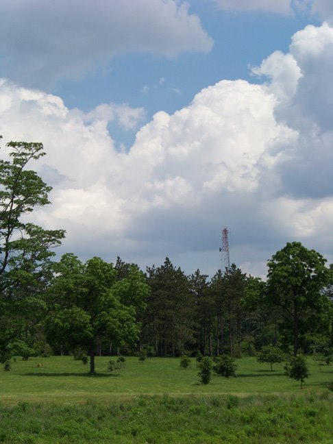 [Arboretum-vast.jpg]