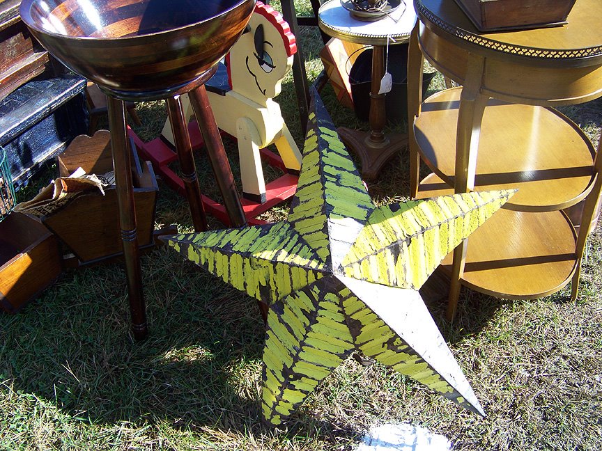 [Flea_yellow_star.jpg]