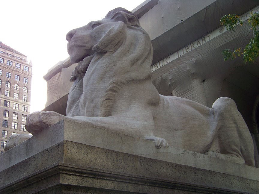 [Pblc_Lbry_Lion.jpg]