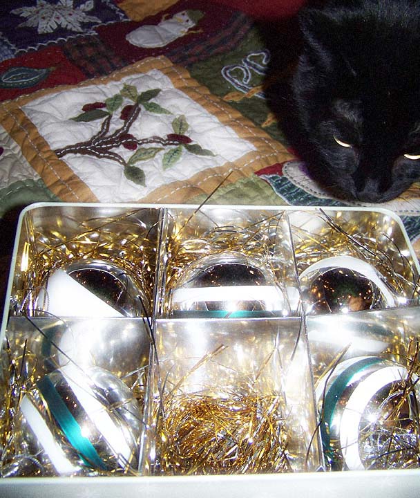 [Chaz-ornaments.jpg]