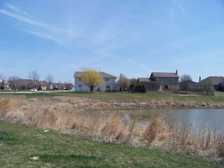 [back.of.our.house.jpg]