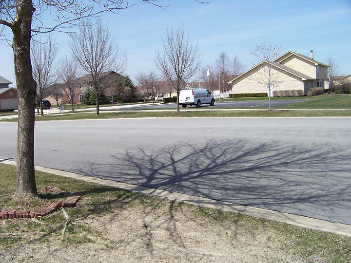 [tree.branches.shadow.jpg]