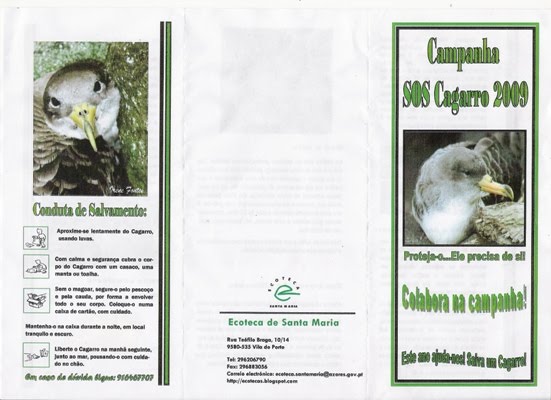 [Digitalizar0001.jpg]