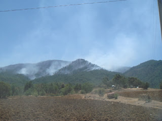 "Aspecto de la deforestación en El Hiloche"