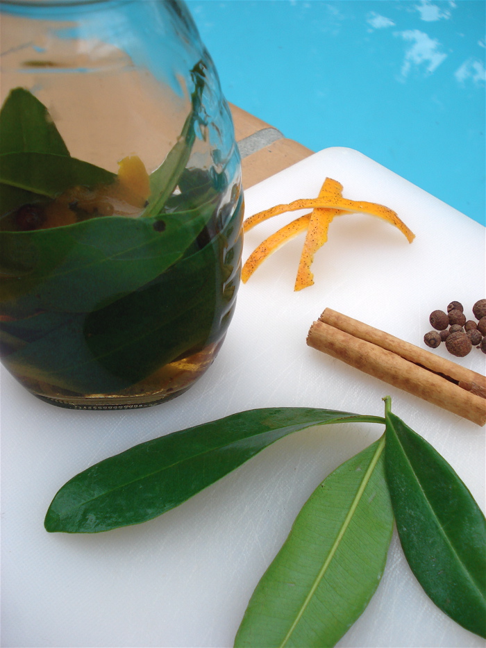 RedRoots Local Goodness Bay Rum Makes the Old Spice Guy Smell Like A