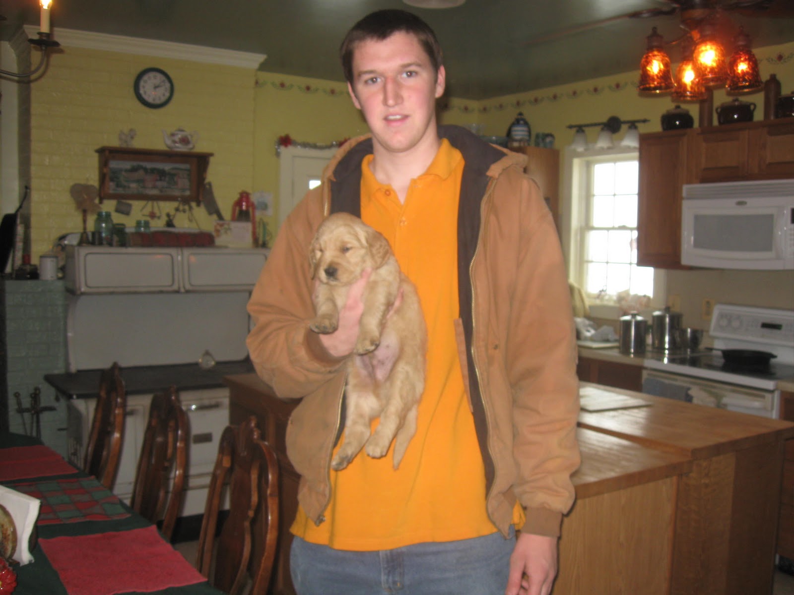 ol red dog