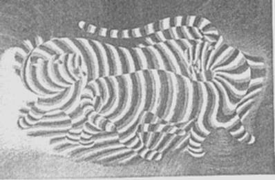 El Arte de la Vida: ARTE CINÉTICO