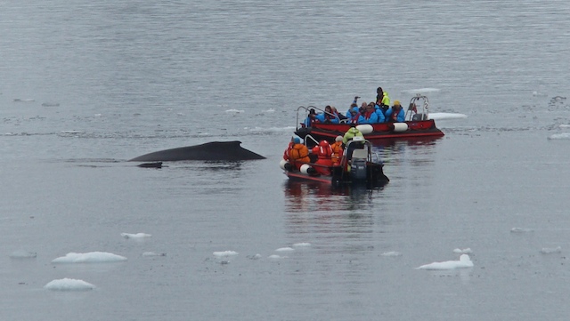 [Almirante++033.jpg]