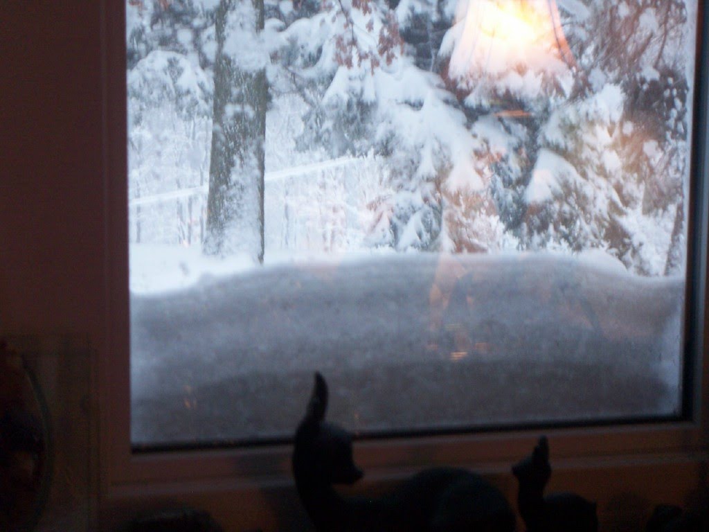 [blizzardfebwindow.bmp]