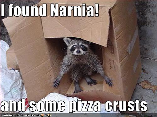 [funny-pictures-raccoon-found-narnia.jpg]