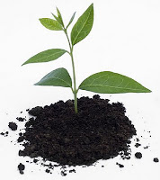 Composting