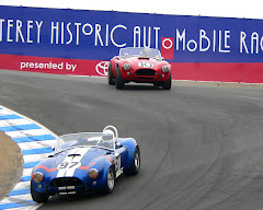 COBRA RACING