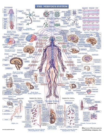 biologykjs