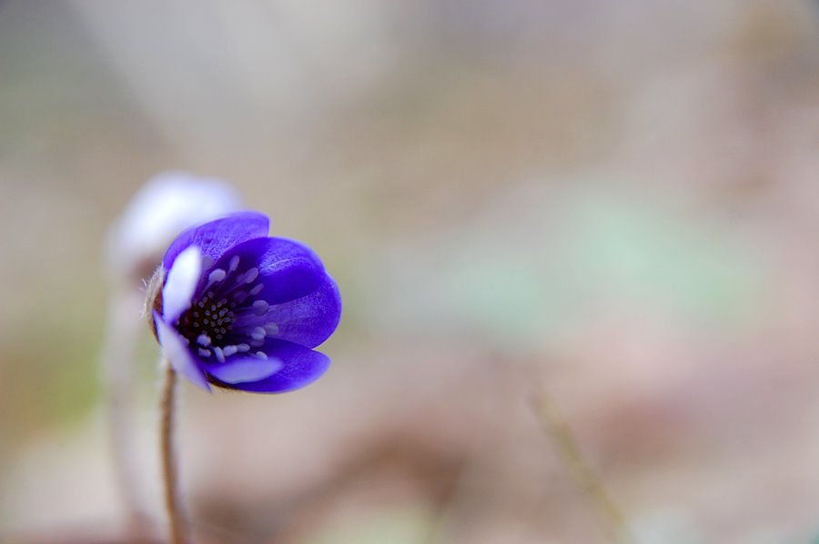 [DSC_0077.JPG]