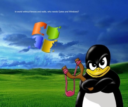 [who_needs_gates_windows.jpg]