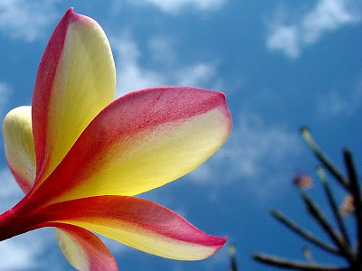 Beautiful Wallpapers beautiful wallpapers of nature for mobile. Beautiful Wallpapers