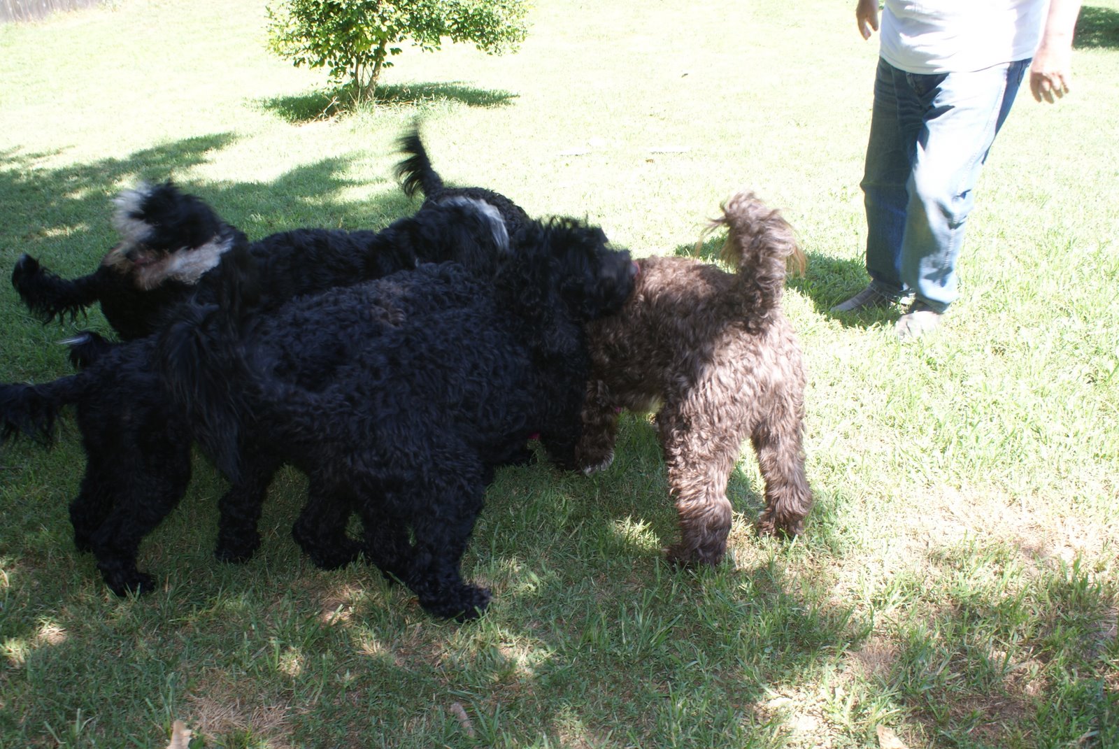 [DSC02044.JPG]
