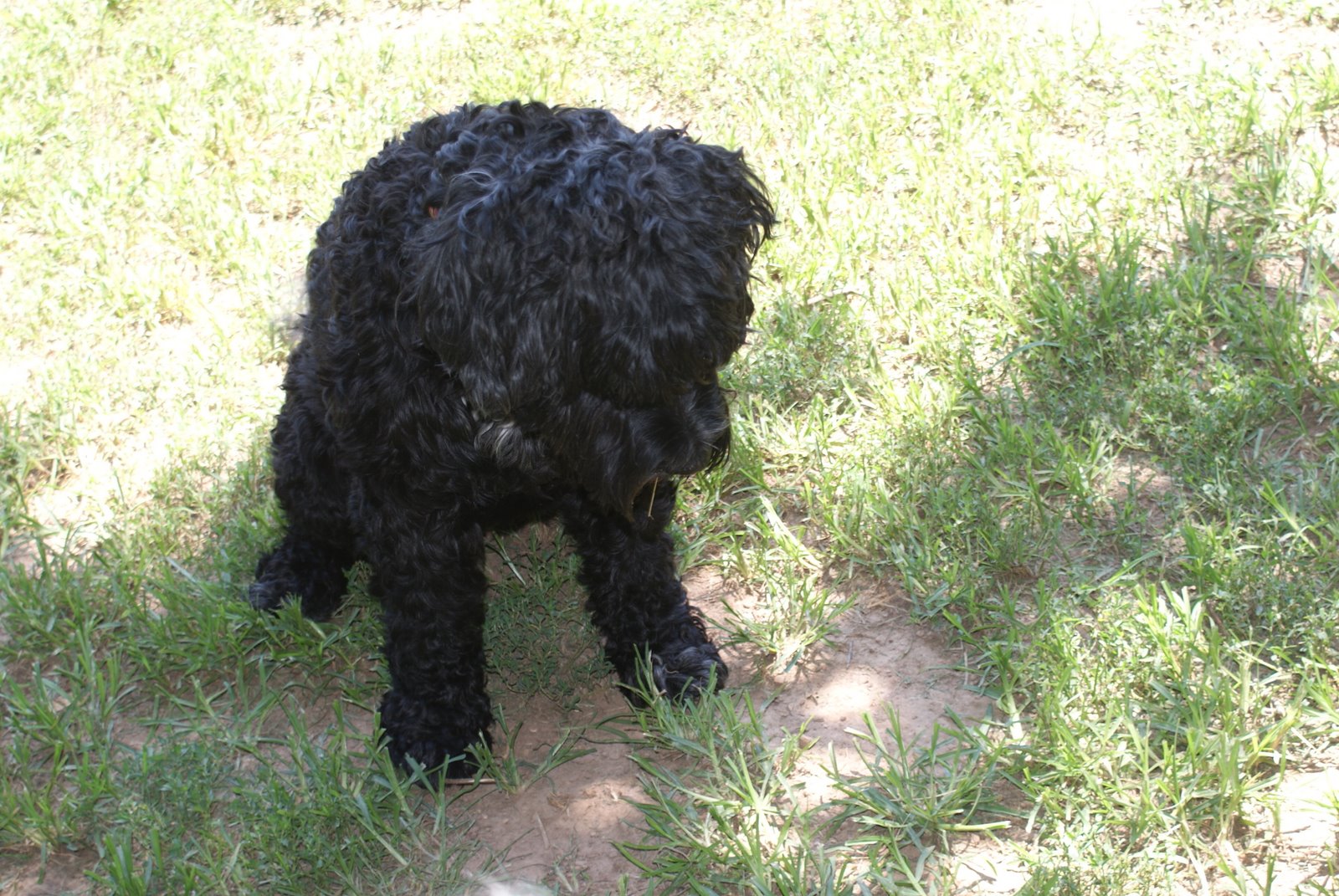 [DSC01948.JPG]