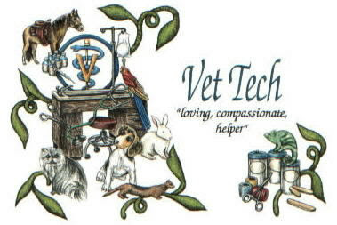 the portuguese water blog vet tech week vettech