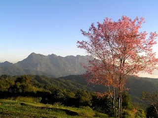 Doi Mae Taman - Chiang Mai Doi Mae Taman - Chiang Mai