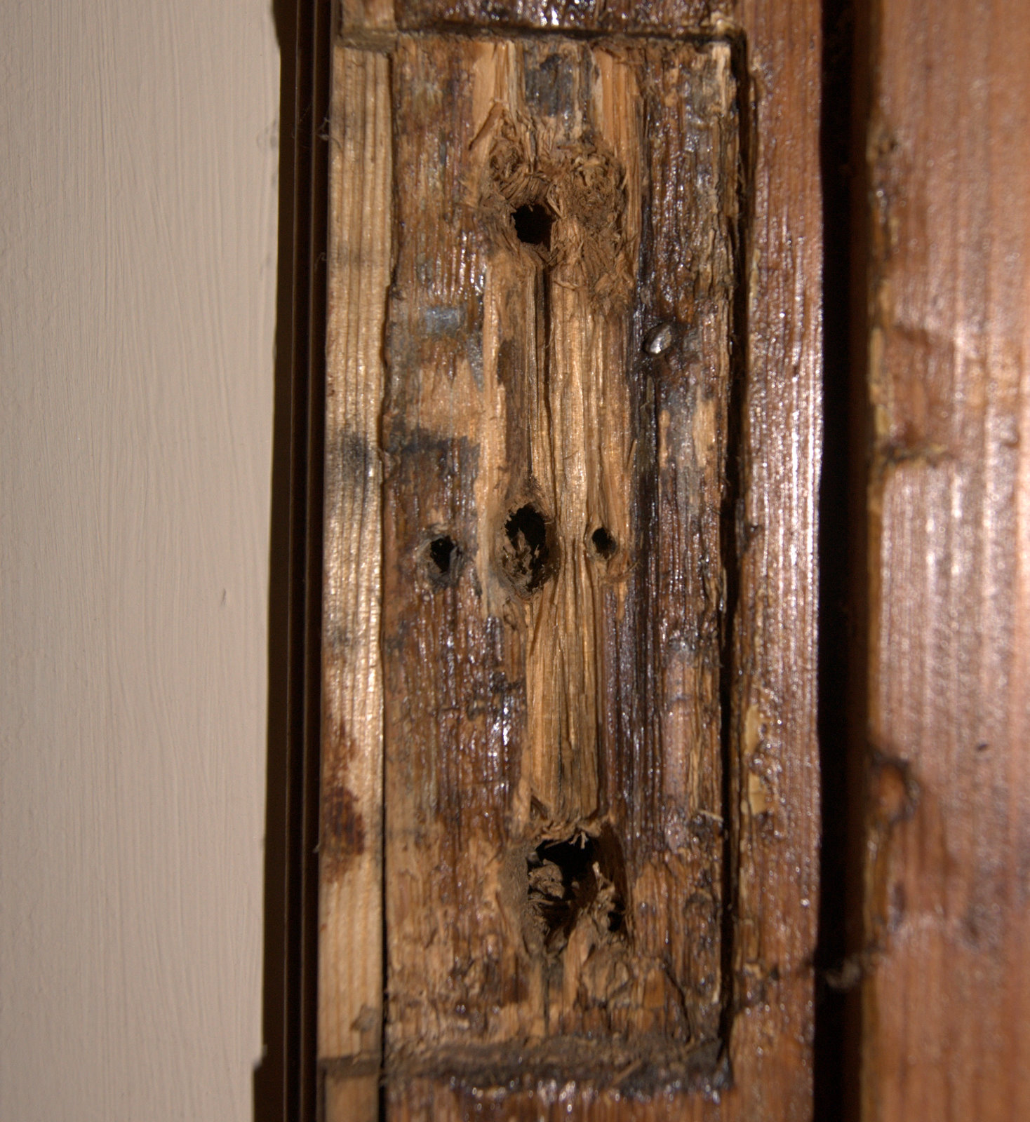Seven Across repairing an old door frame or jamb