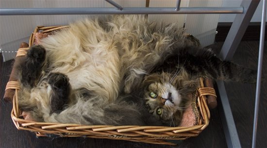 [719246736595.06.jpg.at.ashx.jpg]