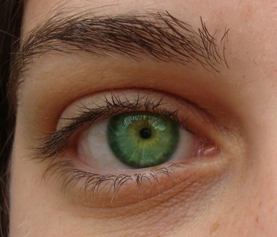[Olhos+Lindos2.JPG]