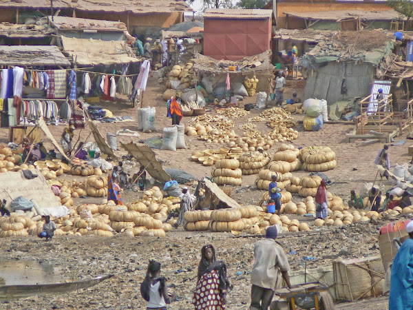 Calabashes on the Waterfront in Mopti